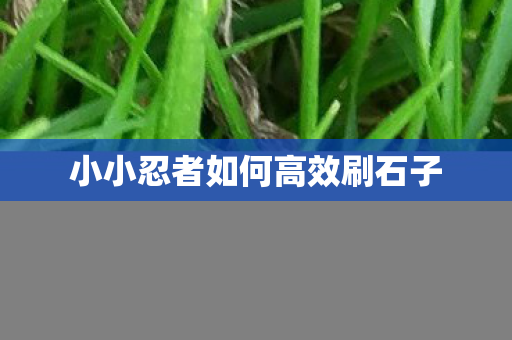 小小忍者如何高效刷石子图片