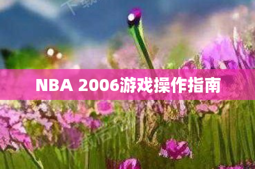 NBA 2006游戏操作指南图片