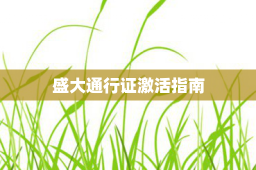盛大通行证激活指南图片