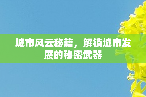 解锁城市发展的秘密武器图片