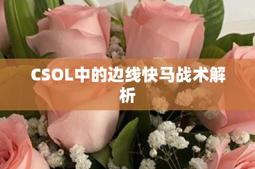 CSOL中的边线快马战术解析图片