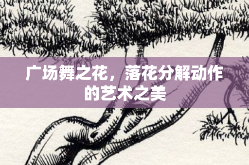 落花分解动作的艺术之美图片