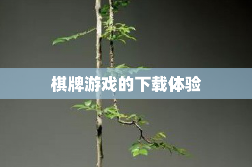 棋牌游戏的下载体验图片