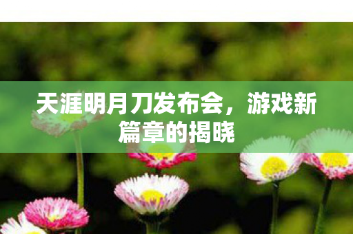 天涯明月刀发布会图片