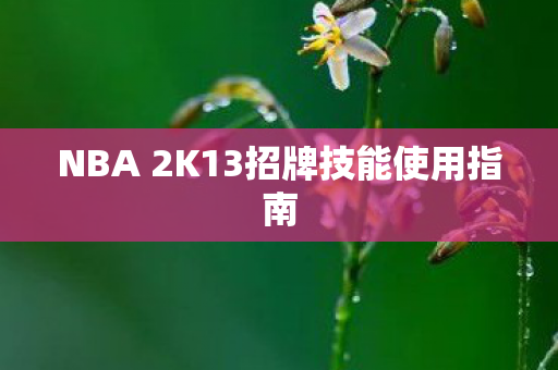 NBA 2K13招牌技能使用指南图片