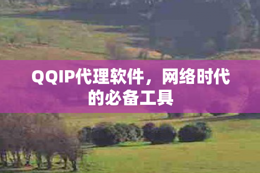 网络时代的必备工具图片