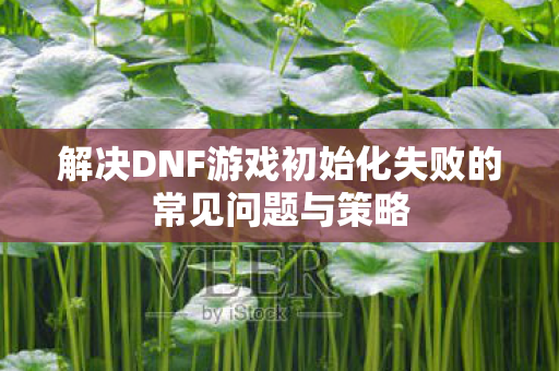解决DNF游戏初始化失败的常见问题与策略图片