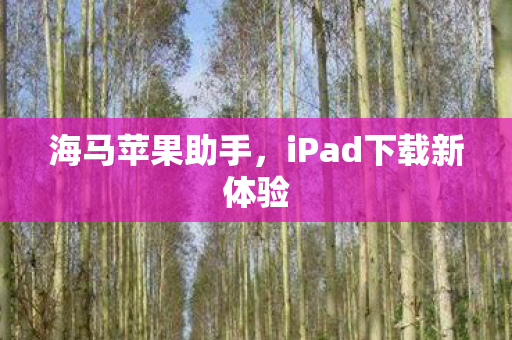 iPad下载新体验图片