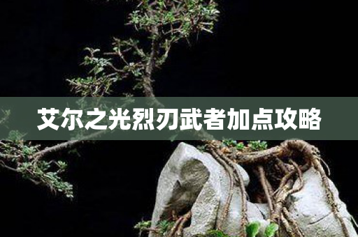 艾尔之光烈刃武者加点攻略图片