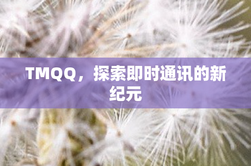 探索即时通讯的新纪元图片