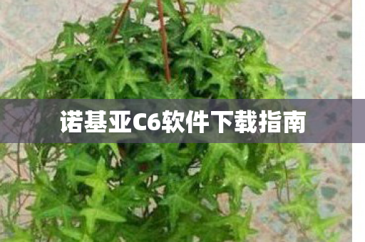 诺基亚C6软件下载指南图片