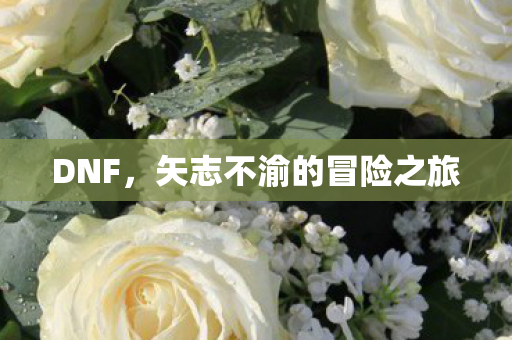 矢志不渝的冒险之旅图片