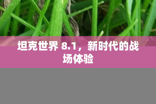 新时代的战场体验图片