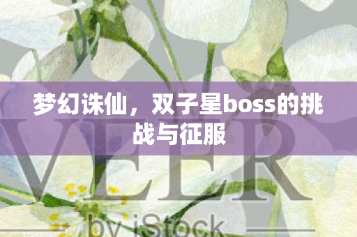 双子星boss的挑战与征服图片