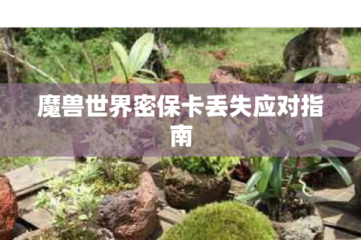 魔兽世界密保卡丢失应对指南图片