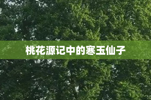 桃花源记中的寒玉仙子图片