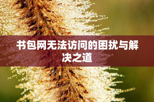 书包网无法访问的困扰与解决之道图片