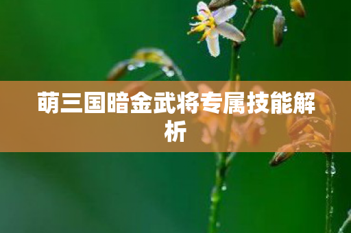萌三国暗金武将专属技能解析图片