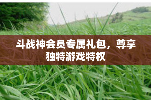 斗战神会员专属礼包图片
