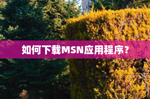 如何下载MSN应用程序图片