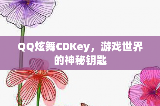 QQ炫舞CDKey图片