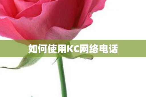 如何使用KC网络电话图片