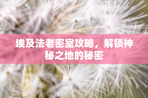 解锁神秘之地的秘密图片