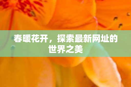 探索最新网址的世界之美图片