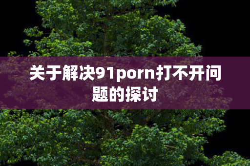 关于解决91porn打不开问题的探讨图片