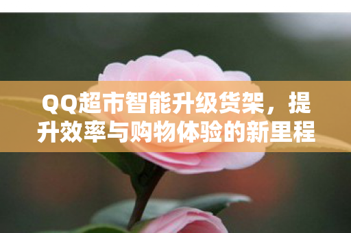 提升效率与购物体验的新里程碑图片