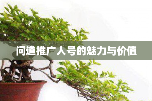 问道推广人号的魅力与价值图片