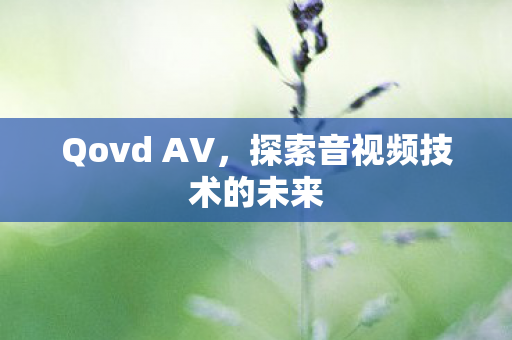 探索音视频技术的未来图片