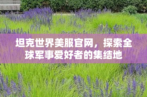 探索全球军事爱好者的集结地图片