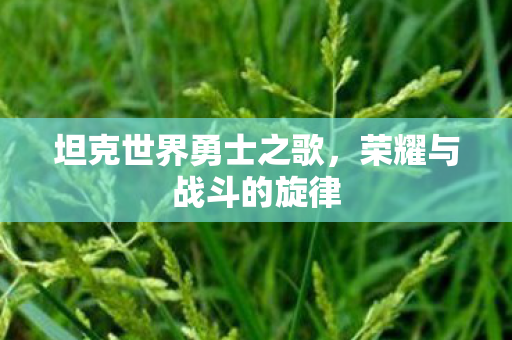 坦克世界勇士之歌图片