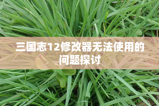三国志12修改器无法使用的问题探讨图片