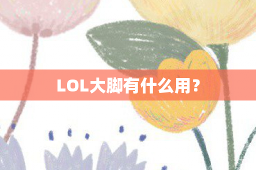 LOL大脚有什么用图片