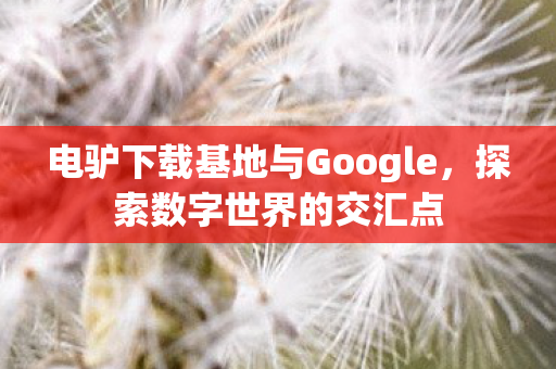 电驴下载基地与Google图片