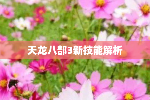 天龙八部3新技能解析图片
