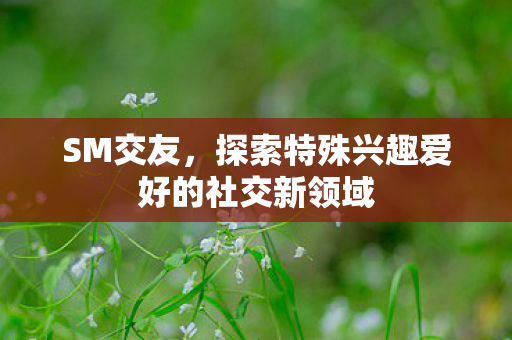 探索特殊兴趣爱好的社交新领域图片