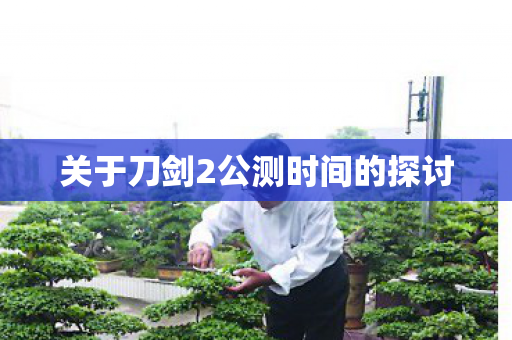 关于刀剑2公测时间的探讨图片