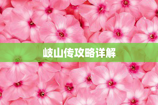 岐山传攻略详解图片