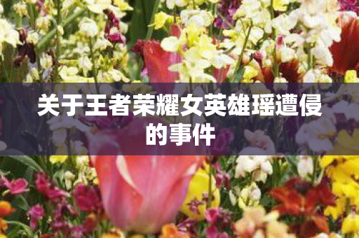 关于王者荣耀女英雄瑶遭侵的事件图片