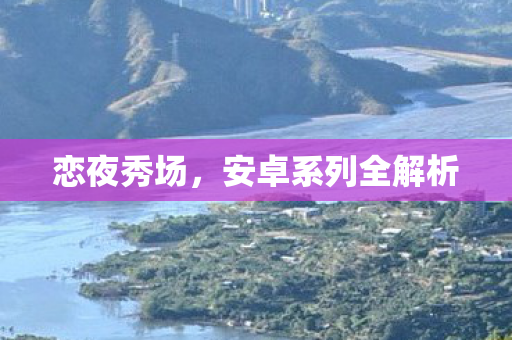 安卓系列全解析图片