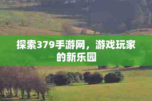 探索379手游网图片