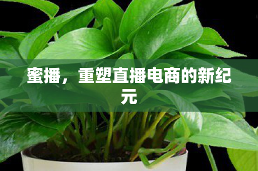 重塑直播电商的新纪元图片