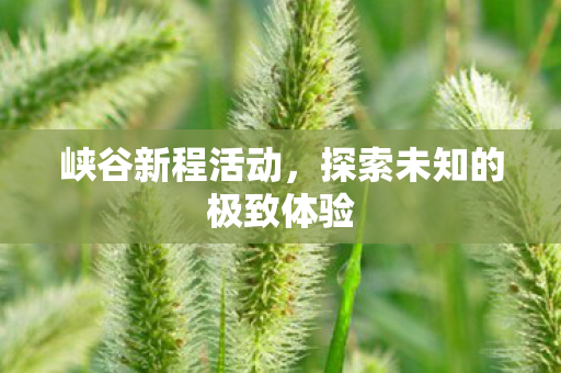 探索未知的极致体验图片