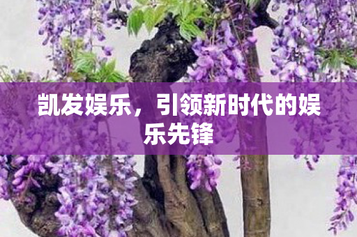 引领新时代的娱乐先锋图片