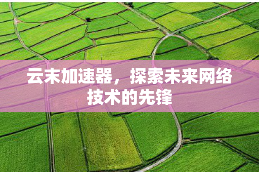 探索未来网络技术的先锋图片