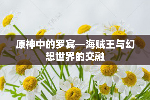 海贼王与幻想世界的交融图片