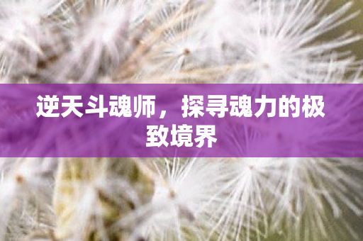 探寻魂力的极致境界图片